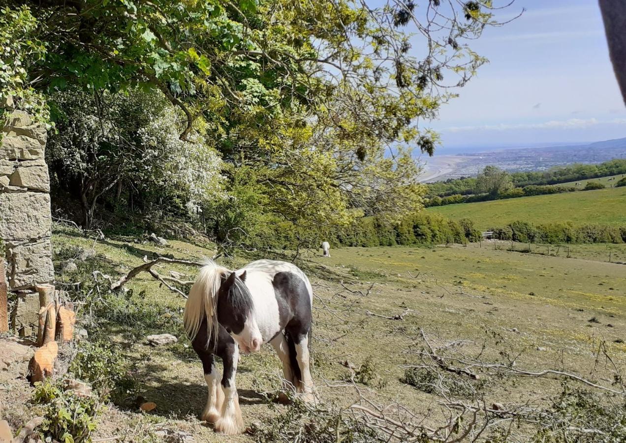 Henblas Holiday Cottages Abergele Exteriér fotografie